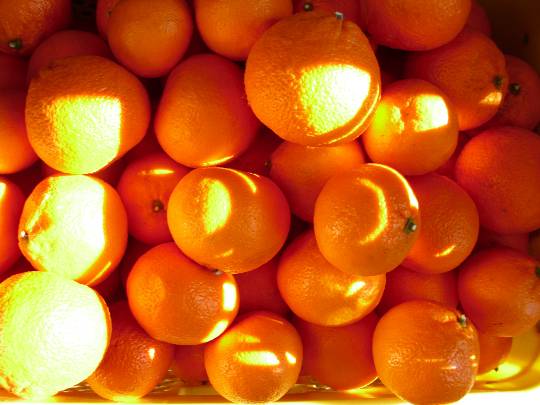 ★ドンキ♡♡ロピア雑談124★