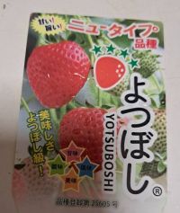 2月5日(木曜日) 　門真倉庫店｜普通のチャリ...