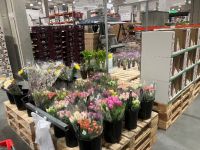 2月22日(日曜日) 　広島倉庫店｜今日の乳製品冷蔵庫内の全商品の価格。
...