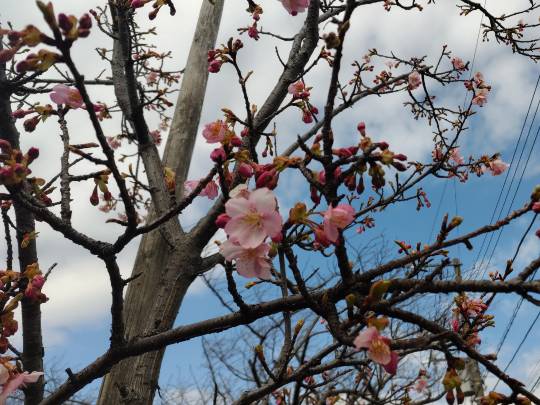 ★ドンキ♡♡ロピア雑談125★