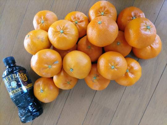 ★ドンキ♡♡ロピア雑談126★