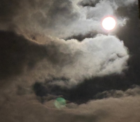 ★ドンキ♡♡ロピア雑談125★