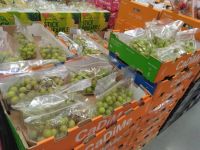 2月27日(金曜日) 　守山倉庫店｜フロランタンあるかわかりますか？...