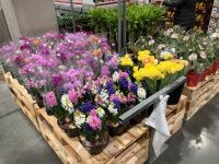 2月5日(木曜日) 　広島倉庫店｜今日のパン・ケーキコーナー全商品の価格①...