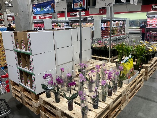 2月22日(日曜日) 広島倉庫店|今日の乳製品冷蔵庫内の全商品の価格。
...