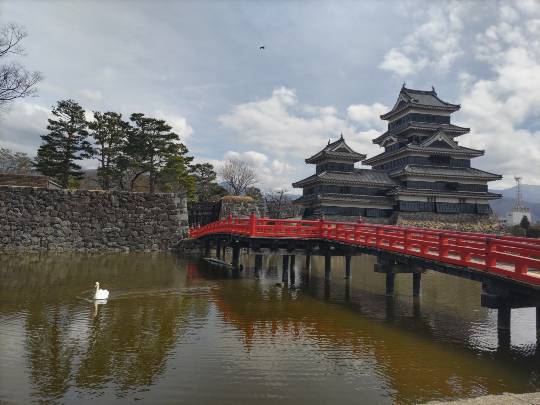 ★ドンキ♡♡ロピア雑談126★