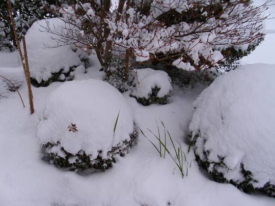 ★ドンキ♡♡ロピア雑談125★