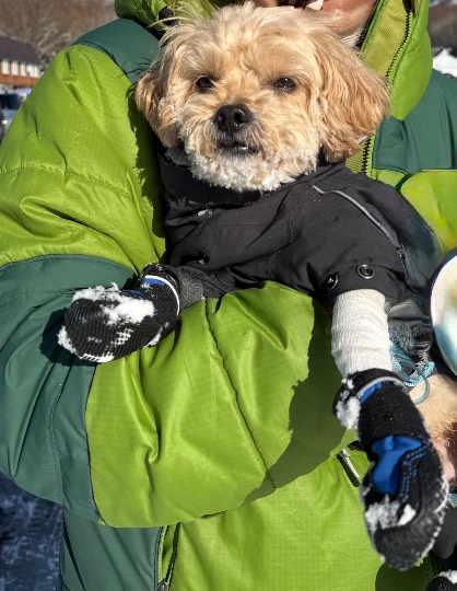 生き物ルーム76