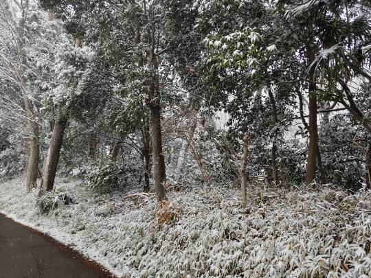 ★ドンキ♡♡ロピア雑談125★