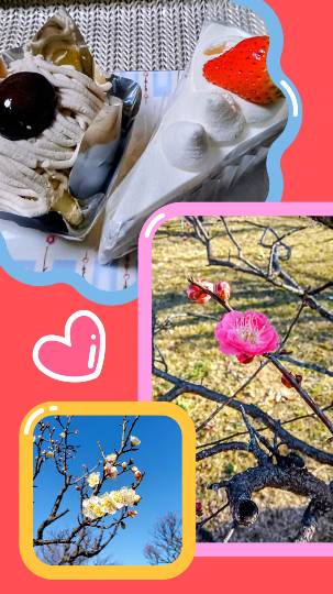 【料理トピ】食い隊 知り隊 作り隊　鉢