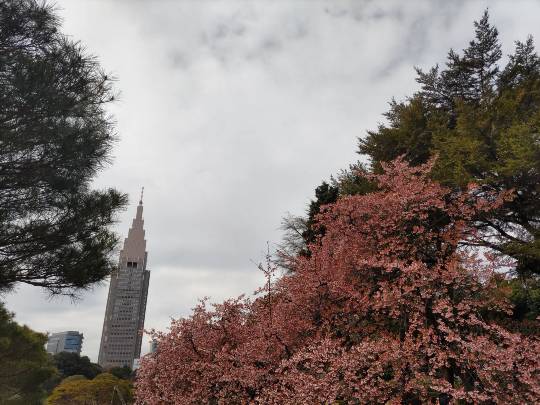 ★ドンキ♡♡ロピア雑談125★