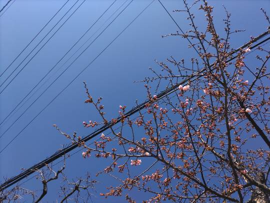 ★ドンキ♡♡ロピア雑談125★