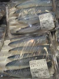 2月20日(金曜日) 　守山倉庫店｜◆スプリングバーケーキ　2498円
　...