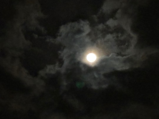 ★ドンキ♡♡ロピア雑談125★