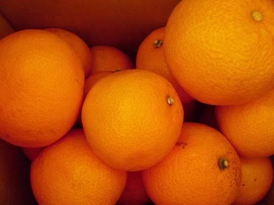 ★ドンキ♡♡ロピア雑談125★