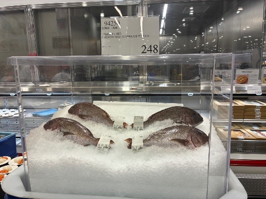 2月27日(金曜日) 　東近江倉庫店｜おはようございます。行ってきたのでご報告...