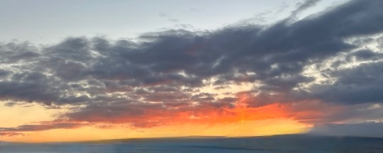 ★ドンキ♡♡ロピア雑談125★