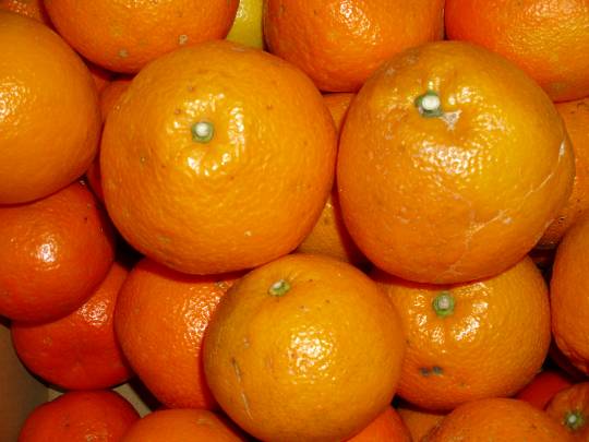 ★ドンキ♡♡ロピア雑談125★