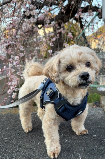 生き物ルーム76