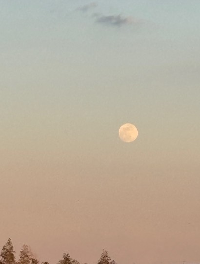 ★ドンキ♡♡ロピア雑談125★