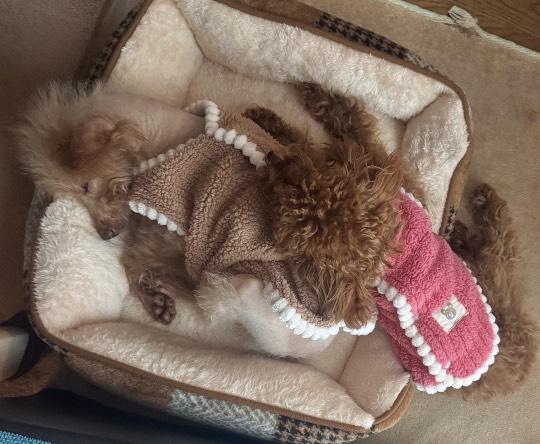 生き物ルーム76