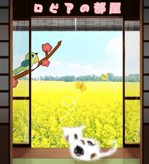 ★ドンキ♡♡ロピア雑談126★