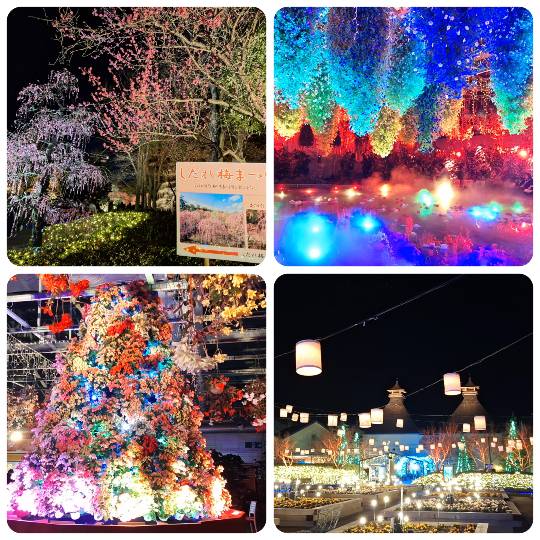 ★ドンキ♡♡ロピア雑談126★