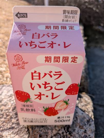 【スナックJINJIN】キッチンカー 家路を急ぐ夕暮れに 出張営業10