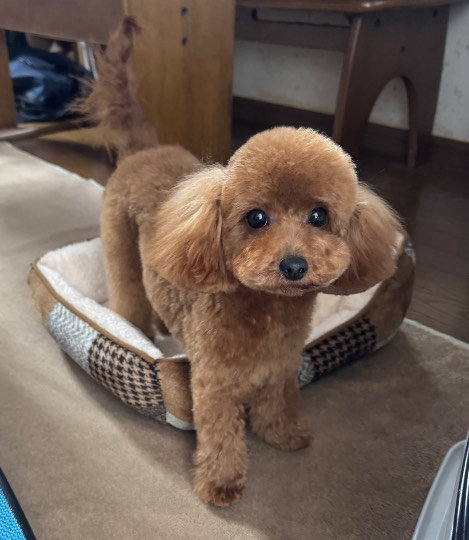 生き物ルーム76