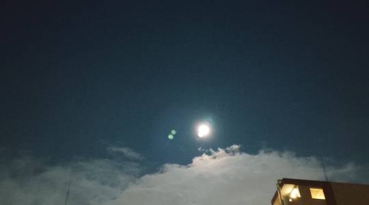 ★ドンキ♡♡ロピア雑談125★