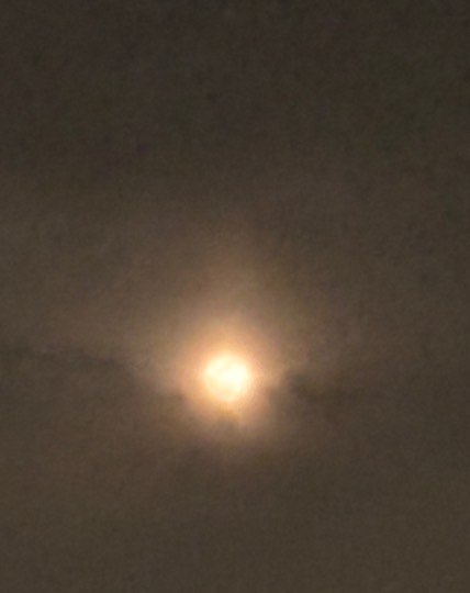 ★ドンキ♡♡ロピア雑談125★