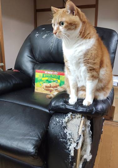 2月6日(金曜日) 　広島倉庫店｜クーポンのチーズを買いに11:30頃のレ...