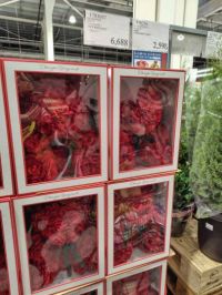 2月8日(日曜日) 　富谷倉庫店｜久山倉庫店からの帰りで立ち寄りました（方...