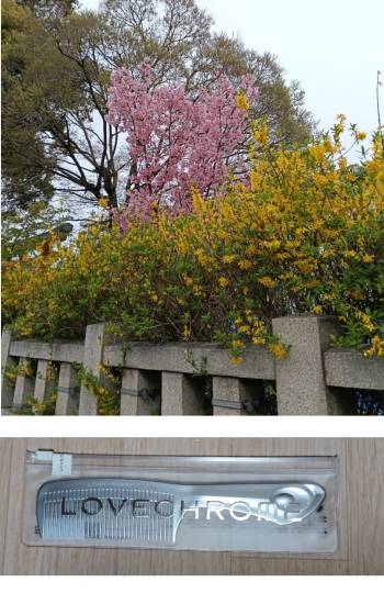 ★ドンキ♡♡ロピア雑談126★