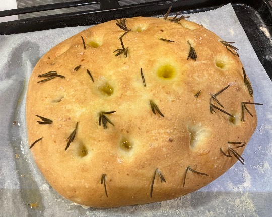 ★ドンキ♡♡ロピア雑談126★