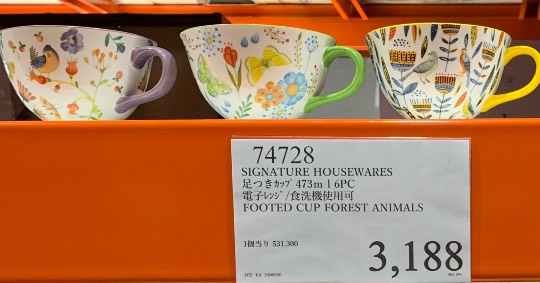 2月27日(金曜日) 　岐阜羽島倉庫店｜１４時ごろ  行って来ました...