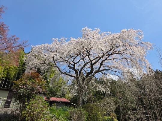 【 つぶやきコーナー 】その７