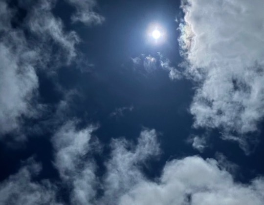 ★ドンキ♡♡ロピア雑談126★