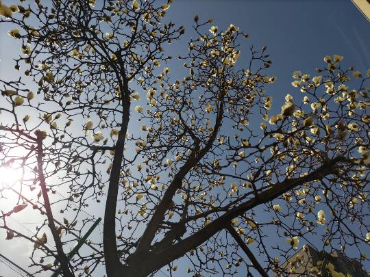 【スナックJINJIN】キッチンカー 家路を急ぐ夕暮れに 出張営業10