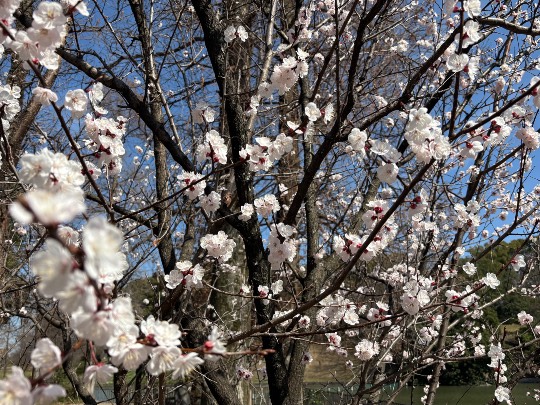 ★ドンキ♡♡ロピア雑談126★