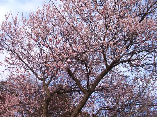 ★ドンキ♡♡ロピア雑談126★