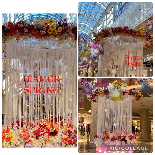 ★ドンキ♡♡ロピア雑談126★