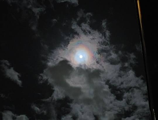 ★ドンキ♡♡ロピア雑談126★