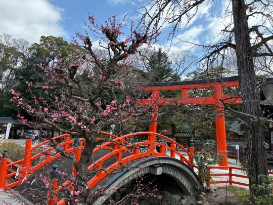 ★ドンキ♡♡ロピア雑談126★
