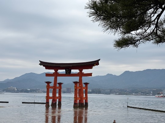 ★ドンキ♡♡ロピア雑談126★