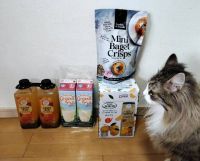 3月25日(水曜日) 　広島倉庫店｜今日は牛乳を買いに朝イチにインコス♪
...