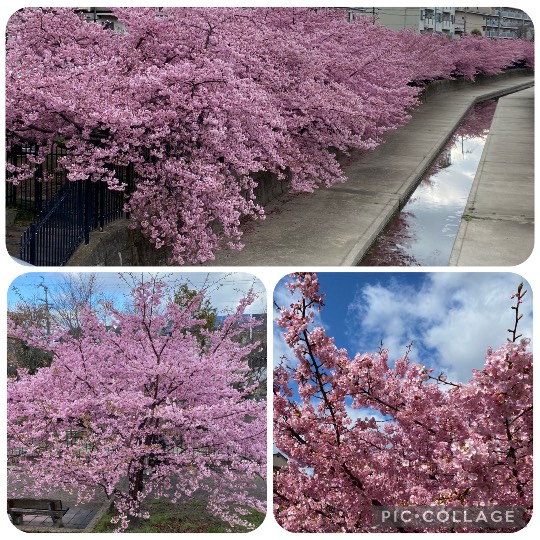 ★ドンキ♡♡ロピア雑談126★