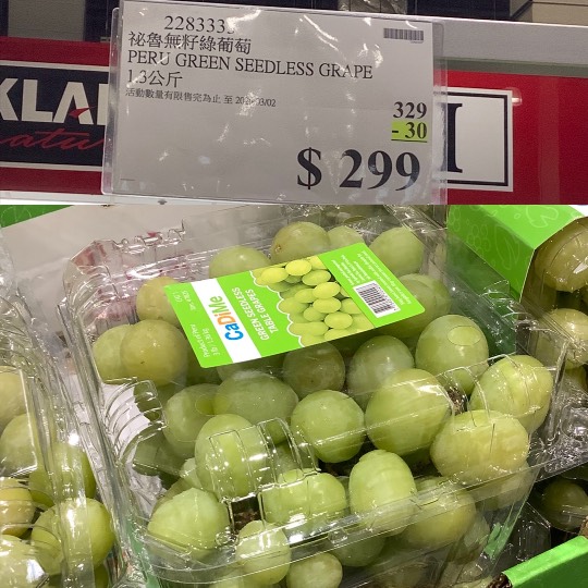 台湾のコストコに行ってきました!