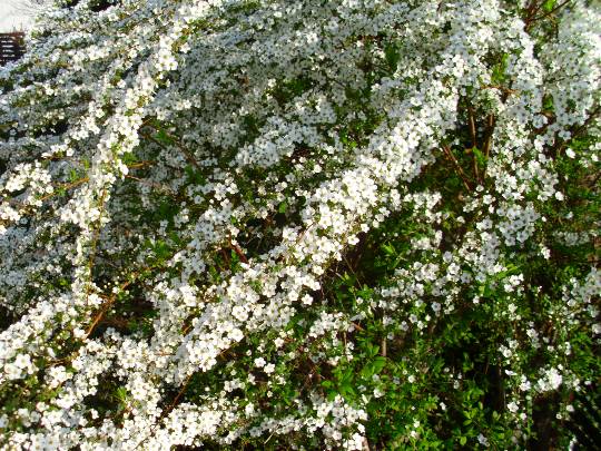 ★ドンキ♡♡ロピア雑談126★