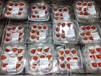 3月22日(日曜日) 　金沢シーサイド倉庫店｜こんにちは。

金沢シーサイド店に来...